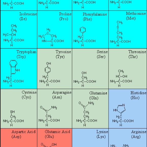 Meet your Posher, Charles - Picture 1 of 1
